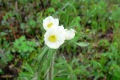 russland-1-099a
