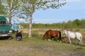 russland-1-151a