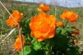 russland1-035a