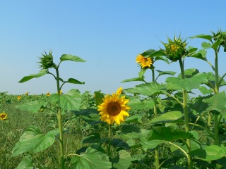 russland-2-022a