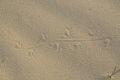 tuerkei-3-083a