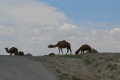 turkmenistan-033a