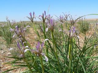 usbekistan-1-159a