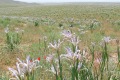 usbekistan-1-162a