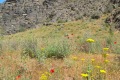 usbekistan-1-163a