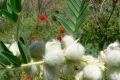 usbekistan-1-167a